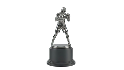 Silver Boxing Trophy