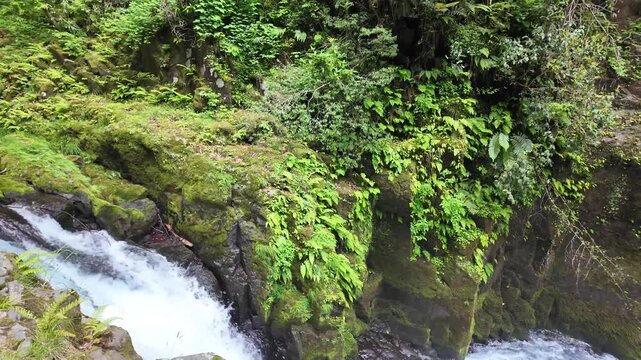 Kikuchi Gorge is a scenic, forested valley and natural recreation area located in the Aso Kuju National Park in Kumamoto Prefecture, Japan
