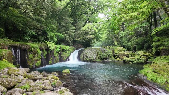Kikuchi Gorge is a scenic, forested valley and natural recreation area located in the Aso Kuju National Park in Kumamoto Prefecture, Japan
