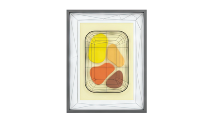 Abstract Geometric Art with Organic Shapes in a Frame