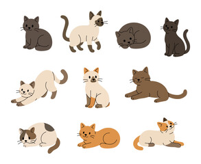 Set of cute cats in different poses and colors. Flat vector illustration of kittens sitting, sleeping, stretching and playing for pet and animal themes