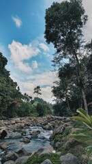 Fototapeta premium Processed with VSCO with hb2 preset