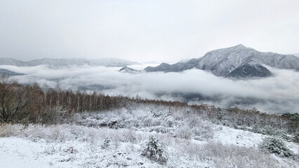 아름다운 눈 덮인 겨울 산