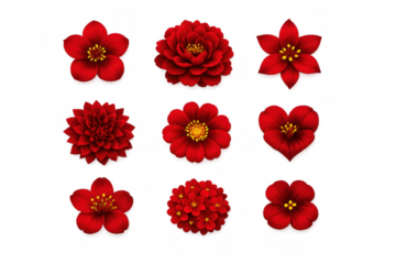 Nine distinct red flowers and petals creating a beautiful botanical set with various shapes, including one heart bloom