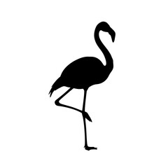 Flamingo Standing Silhouette Vector Icon - Exotic Bird Black Shape on White Background - Minimalist Tropical Symbol
