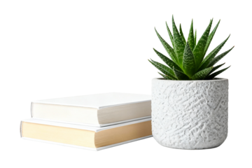 Two Books and Aloe Plant in White Pot