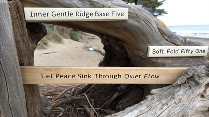 Weathered Driftwood with Inspirational Quotes at Serene Beach Shoreline Surrounded by Gentle Natural Scenery