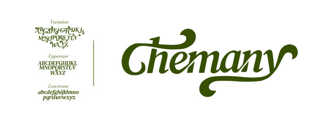 Fototapeta premium Font modern and simple design for logo , lettering , typography Alphabet 