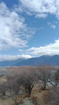 Vertical timelapse video showing white clouds moving rapidly across a blue sky over a majestic mountain range. In the foreground, leafless winter trees and dry grass add a sense of wilderness and soli