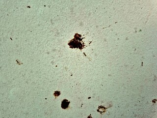 Old Textured Wall with Brown Stains and Scratches