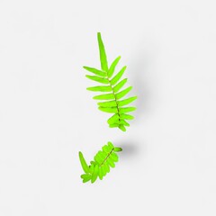 two vibrant green fern leaves of different sizes