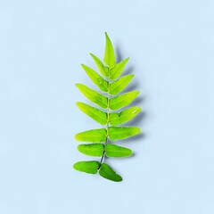 Minimalist Green Fern Leaf on Light Blue Background