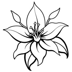 bessera elegans purple flower line art with branch line art on white background