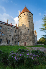 Timeless Walls of Tallinn Old Town