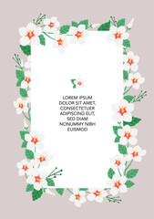White rose of sharon floral square frame illustration
