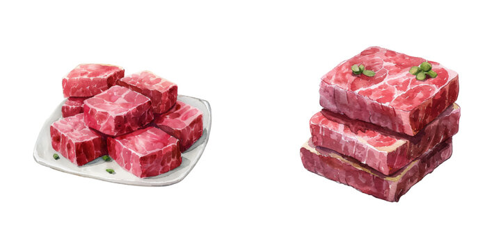 corned beef watercolor vector illustration