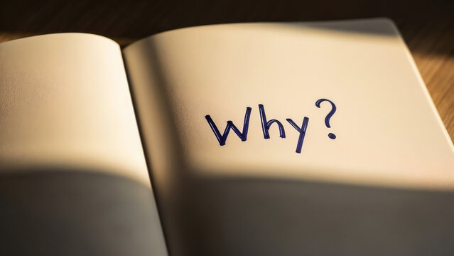 Question of Meaning and Reflection in Open Notebook