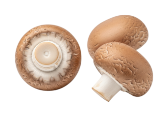 Three pristine, organic cremini mushrooms (baby bella), one top view with visible dark gills, two on sides, isolated on a transparent background with soft studio light, concept of organic food