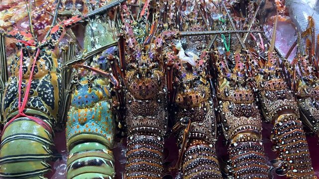 Kota Kinabalu, Malaysia, June 3, 2025: A variety of fresh seafood in close-up at a street market. Seafood market on the island of Borneo. Fresh fish, crabs, shrimp, and squid on ice at a fish market. 
