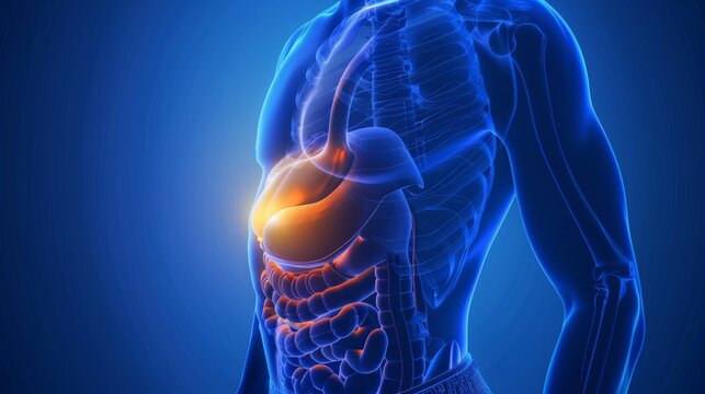 Current Insights into Gallbladder Cancer: Risk Factors, Clinical Manifestations, and Treatment Strategies