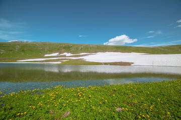 Beautiful flowering meadow and alpine lake against green hill in sunlight. Vivid scenery with turquoise lake and ridge with snowfield under cloud in blue sky. Ripples on transparent water surface.