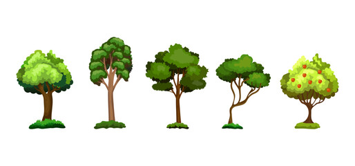 Tree Vector Illustration Collection Featuring Tropical and Orchard Trees with Mango, Apple, Banana, Orange, Coconut Palm and More Isolated on White Background, Colorful Tree Vector Illustration