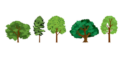 Tree Vector Illustration Collection Featuring Tropical and Orchard Trees with Mango, Apple, Banana, Orange, Coconut Palm and More Isolated on White Background, Colorful Tree Vector Illustration