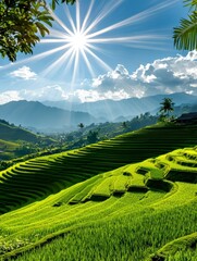 Vibrant Green Rice Terraces with Sunburst Sky in Asian Mountain Landscape
