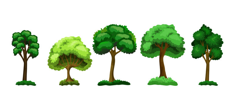 Tree Vector Illustration Collection Featuring Tropical and Orchard Trees with Mango, Apple, Banana, Orange, Coconut Palm and More Isolated on White Background, Colorful Tree Vector Illustration