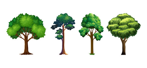 Tree Vector Illustration Collection Featuring Tropical and Orchard Trees with Mango, Apple, Banana, Orange, Coconut Palm and More Isolated on White Background, Colorful Tree Vector Illustration