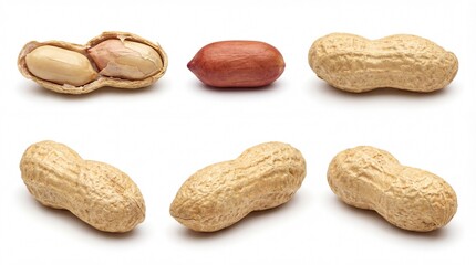 Obraz premium Raw peanuts and groundnuts isolated on white background healthy organic food ingredient high resolution photography