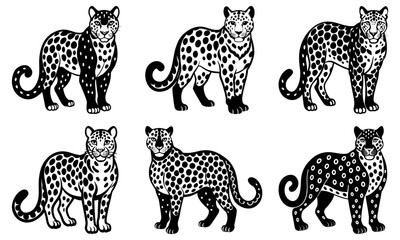 Obraz premium Six leopards with black spots on white background animal wildlife 1