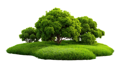 Emerald Oasis: A cluster of verdant trees flourishes atop a gentle, grassy knoll, a testament to the rejuvenating power of nature's embrace.