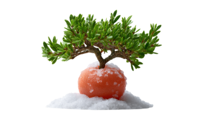 Miniature Tree in Snow: A vibrant bonsai tree thrives atop an orange sphere nestled within a bed of fresh, pristine snow, showcasing a harmonious blend of nature's elements.