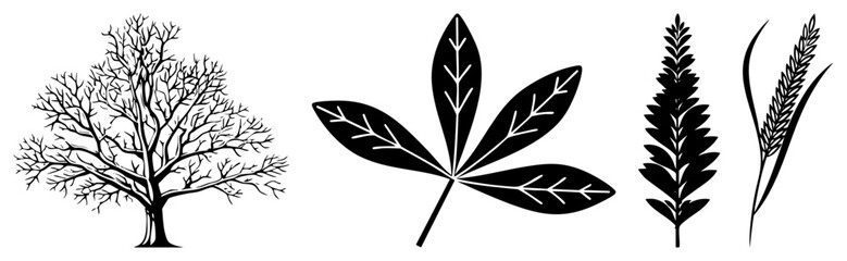 Obraz premium Bare Winter Tree, Maple Leaf, Fern and Grass Silhouettes in Vector Art