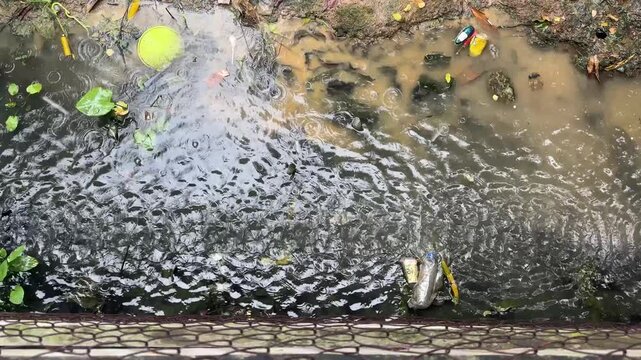 High angle shot of rain falling into a polluted drainage with floating plastic waste