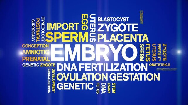 Embryo animated word cloud-text design animation tag kinetic typography seamless loop.