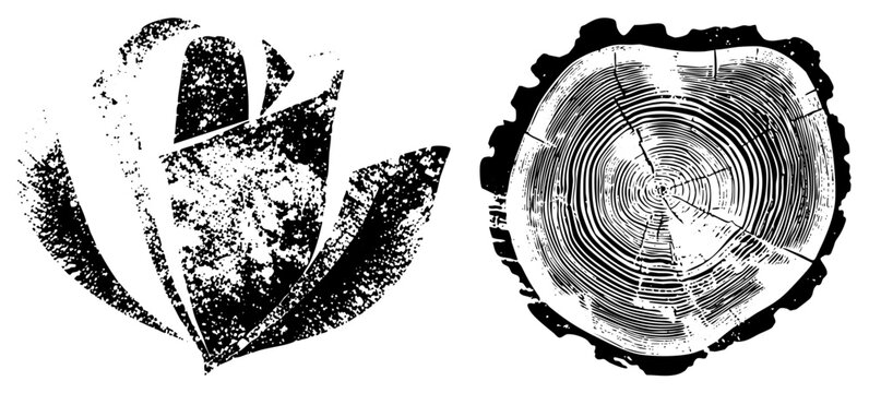 Stylized Leaf and Tree Ring Vector Illustrations with Grunge Texture