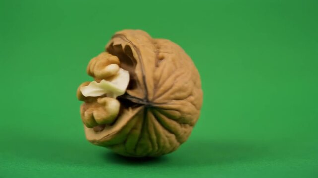 Walnut with shell cracked open. Fresh walnut kernel. Green background. Healthy food. Nutritious snack. Walnut halves. Brown shell. Green studio backdrop. Food photography. Single walnut.