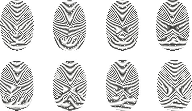 Set of black human fingerprint icons isolated on white background, biometric security identification marks and forensic thumbprint patterns in clean flat vector style.