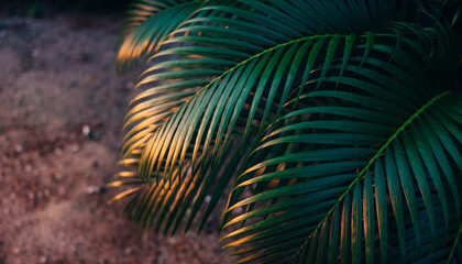 Dark tropical leaf background with dramatic lighting