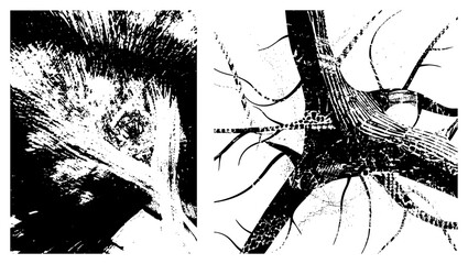 Abstract Organic Forms with Textured Brushstroke