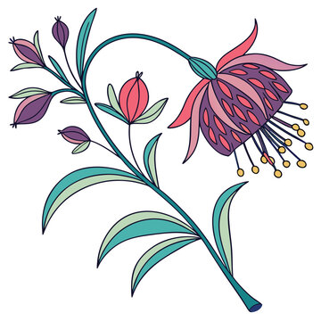 gomphrena flower colorful vector