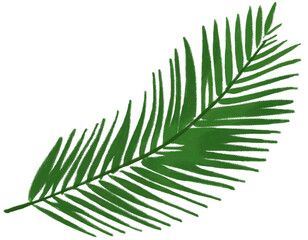 Naklejka premium 야자수 잎