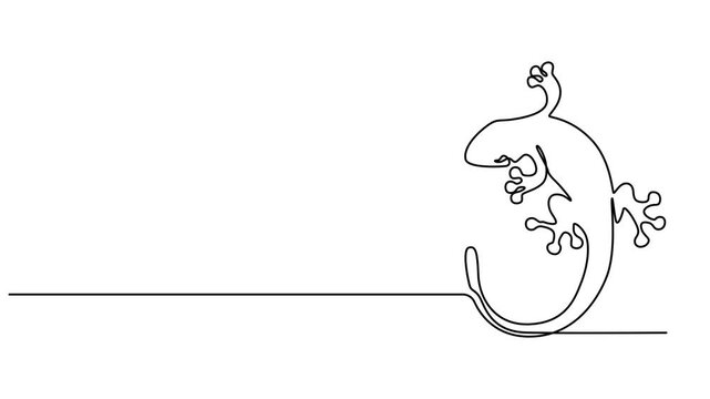 Gecko animation continuous one line drawing, Self drawing line animation lizard reptile continuous one single line drawn concept video, Animated self drawing of world lizard day video design pro.