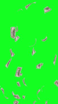 100 dollar banknotes slowly falling down on green screen. 4k animated video.