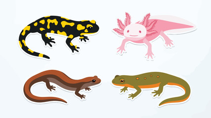 Fototapeta premium Illustrated Collection of Diverse Salamanders and Axolotl