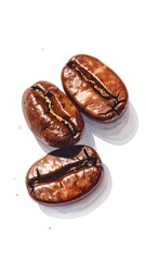 Obraz premium Three roasted, whole coffee beans, artistic watercolor illustration