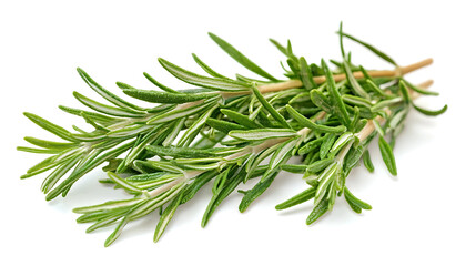 Fototapeta premium Fresh Rosemary Sprigs Isolated On A Clean White Background 