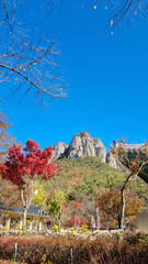 한국 청송에 있는 주왕산 아래 사찰 풍경